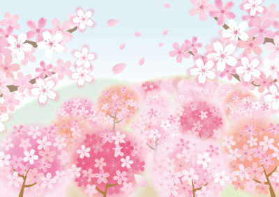 桜の開花情報「大阪」の先取り情報！？