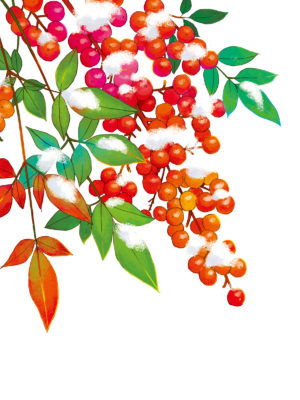 縁起物として庭に南天（なんてん）をなぜ植えるの？のど飴関係ある？