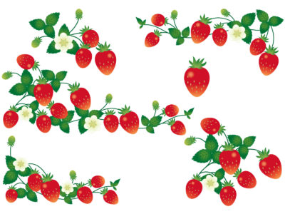 いちごの種類は何種類ある？そのなかで白いいちごは何種類あるの？