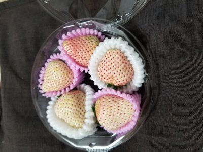 白いいちごは中も白いの？白いいちごの初恋の香りは酸っぱいの？