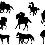 ディープに続いてキンカメも。この２頭に共通するポイントとは！？