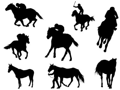 ディープに続いてキンカメも。この２頭に共通するポイントとは！？